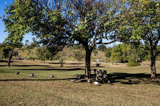 foto joão athaíde (25).jpg