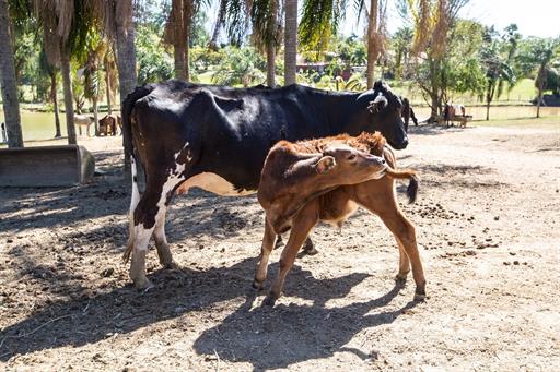 foto joão athaíde (241).jpg