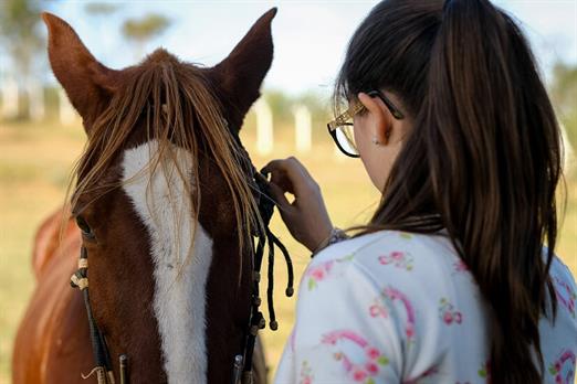 SETE LAGOS CAVALOS GERAL (1226).JPG