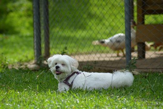 hotel 7 lagos - jan16 (149).jpg