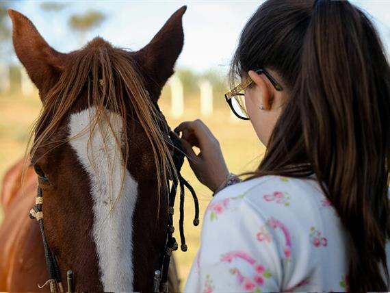 SETE LAGOS CAVALOS GERAL (1226).JPG