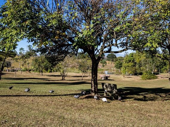 foto joão athaíde (25).jpg