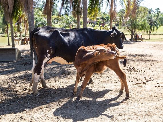 foto joão athaíde (241).jpg