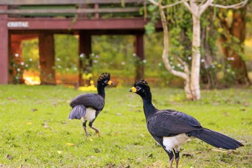 hotel santa esmeralda 092.jpg