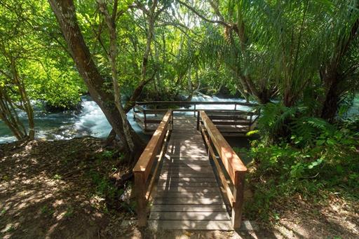 rio formoso_20160428_0103.jpg