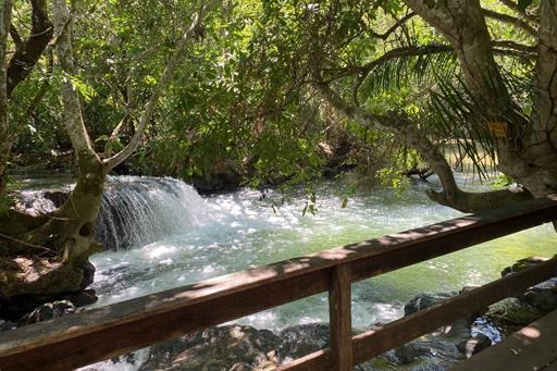 img_3780 - copia.jpg