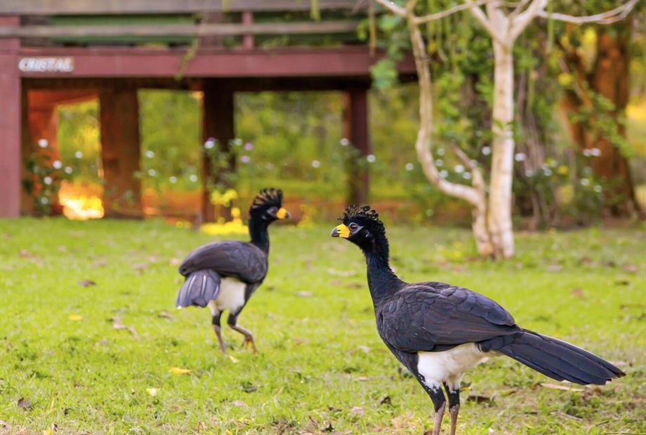 hotel santa esmeralda 092.jpg