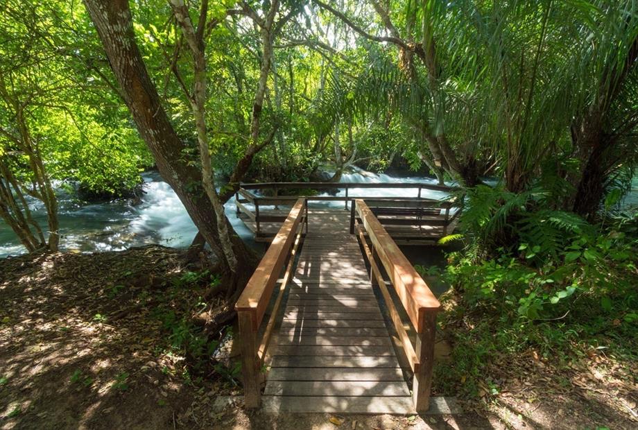 rio formoso_20160428_0103.jpg