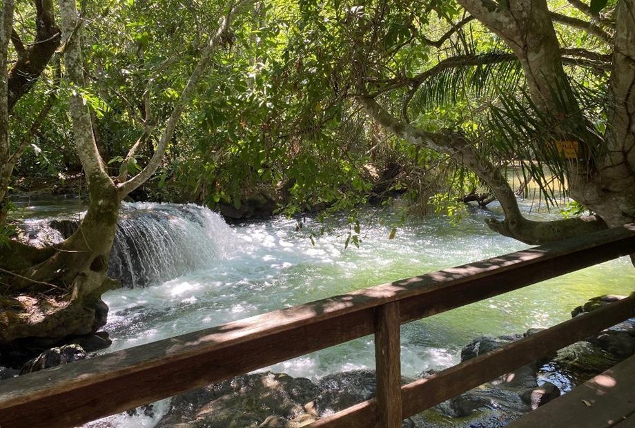 img_3780 - copia.jpg