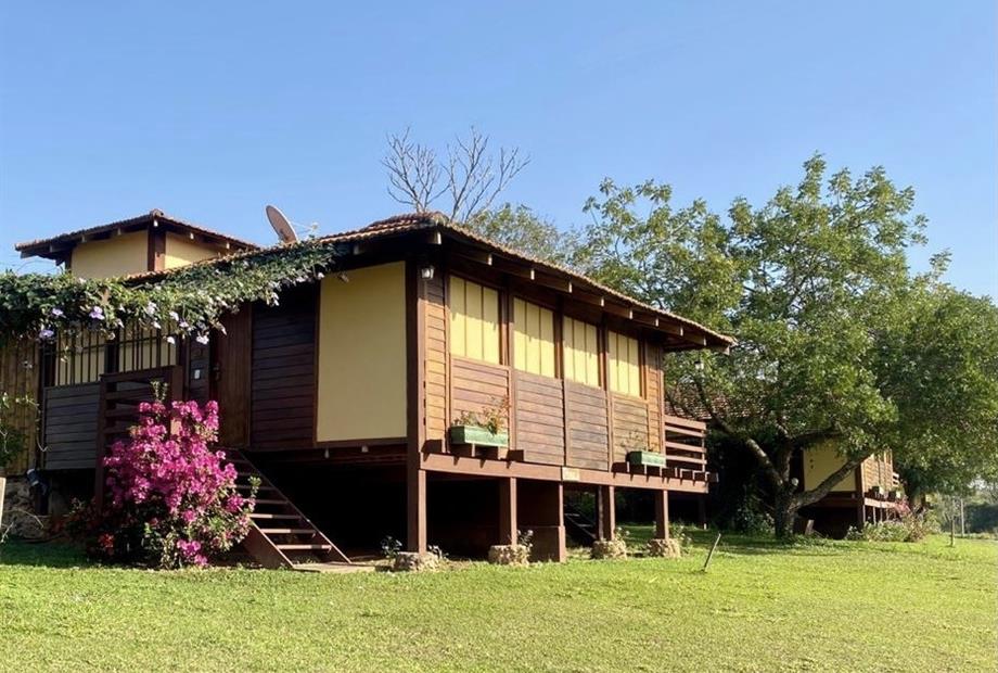 sem terraço azaleia.jpg