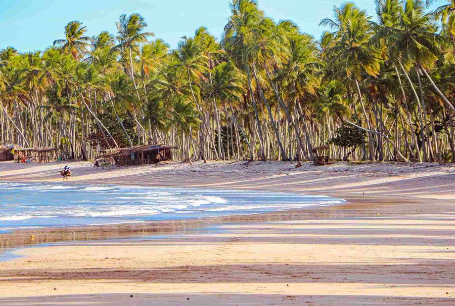 feed torre (27)_11zon (1).jpg