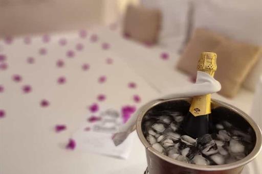 whatsapp image 2026-02-22 at 12.02.33.jpeg