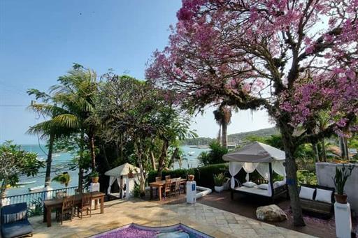 whatsapp image 2026-02-22 at 12.08.19.jpeg