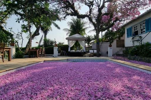 whatsapp image 2026-02-22 at 12.07.42.jpeg