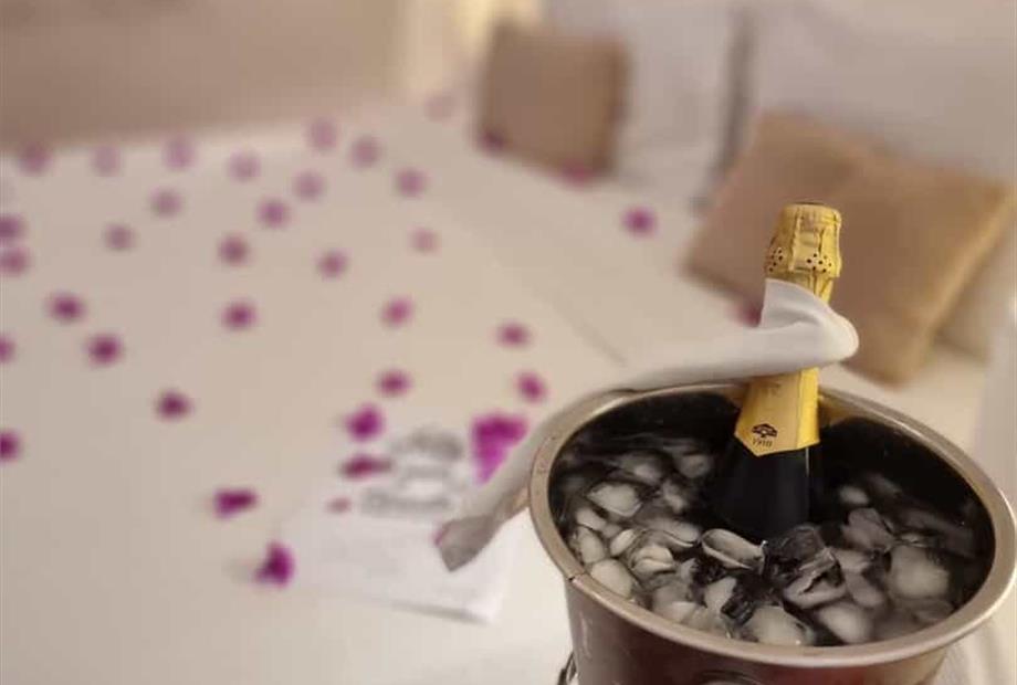 whatsapp image 2026-02-22 at 12.02.33.jpeg