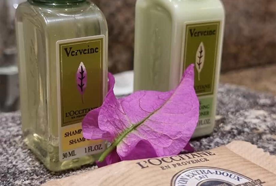 whatsapp image 2026-02-22 at 11.58.55.jpeg