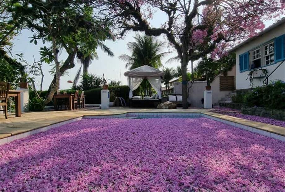 whatsapp image 2026-02-22 at 12.07.42.jpeg