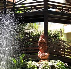 WhatsApp Image 2017-12-06 at 07.28.31.jpeg