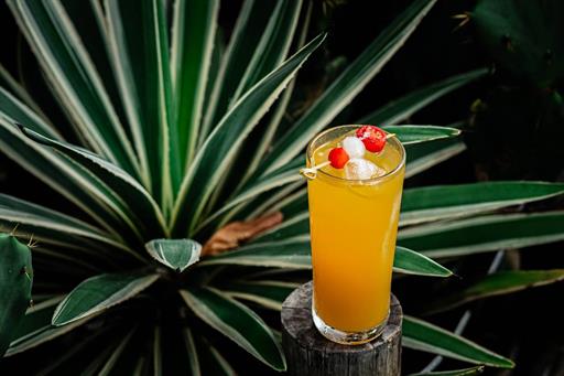 @nubrafasari 4-11.jpg (2).jpeg