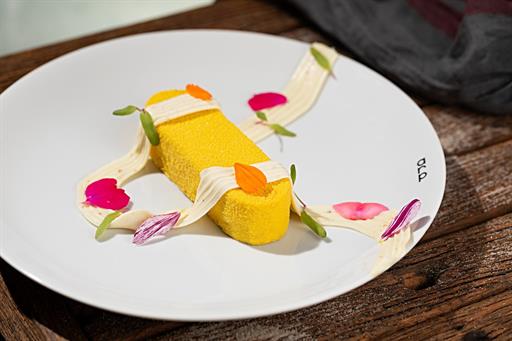 foto rodrigo azevedo_20260406_024.jpg.jpeg