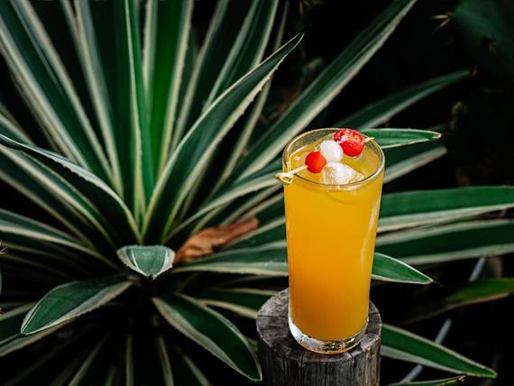 @nubrafasari 4-11.jpg (2).jpeg