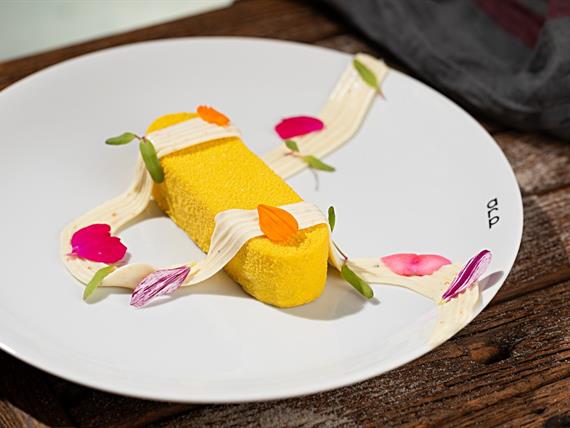 foto rodrigo azevedo_20260406_024.jpg.jpeg