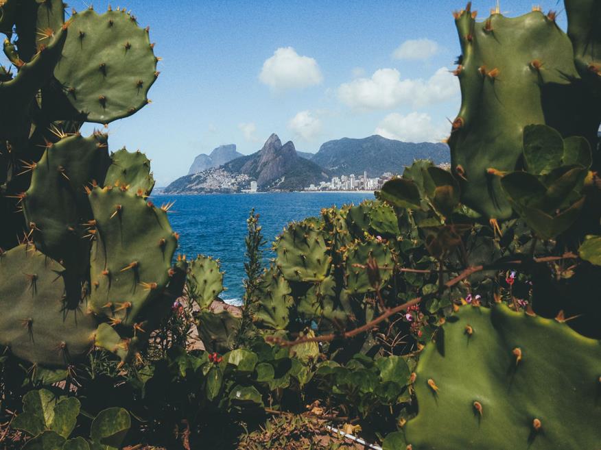 ipanema_inn_34.jpg