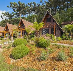 _dsc2603_easy-resize.com.jpg
