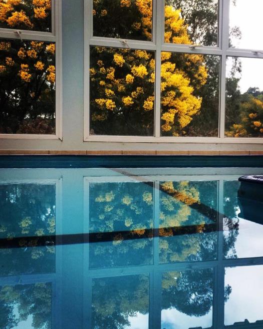 piscina.jpg