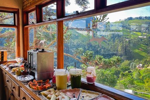 412a4428-36f4-4edc-9e5d-3c8a9ee63901 (1).jpg