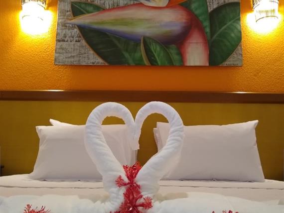 Foto Apto Standard....jpeg