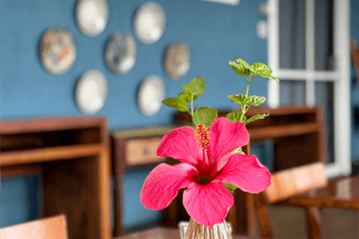 captura de tela 2025-01-09 110659.png