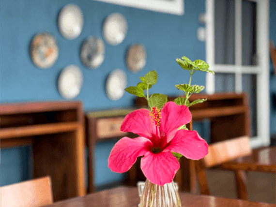 captura de tela 2025-01-09 110659.png