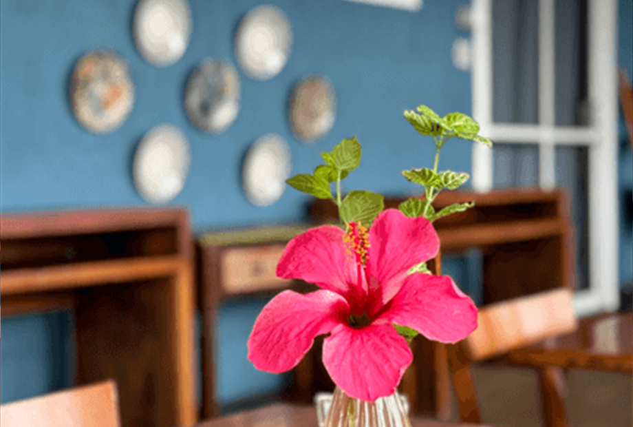 captura de tela 2025-01-09 110659.png