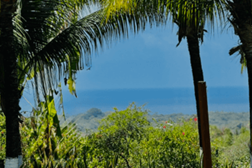 captura de tela 2025-02-06 114541.png