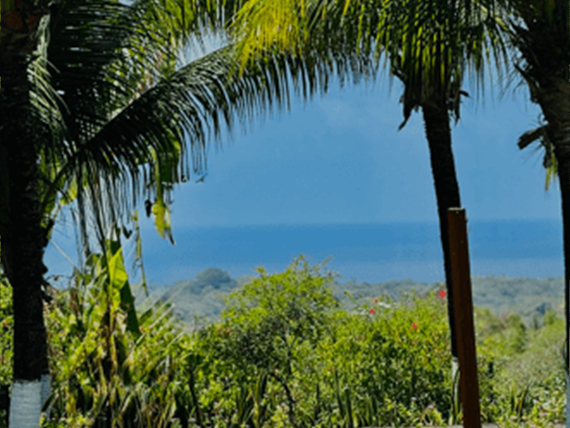 captura de tela 2025-02-06 114541.png