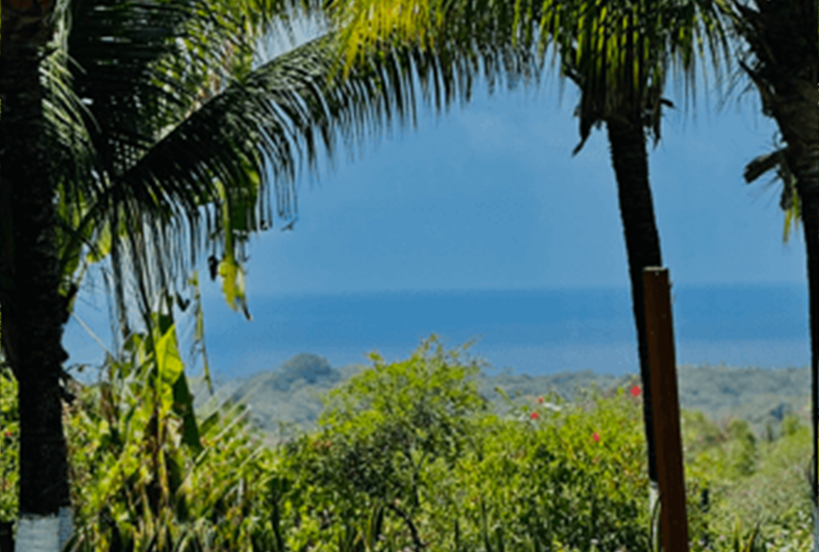 captura de tela 2025-02-06 114541.png