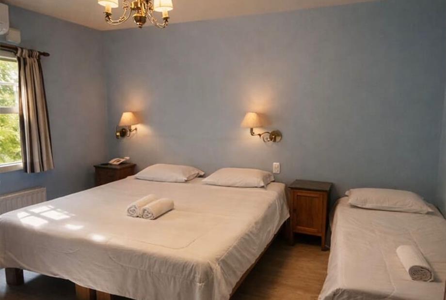 whatsapp image 2026-02-16 at 13.27.13.jpeg