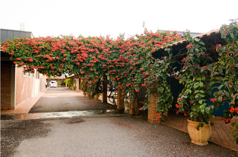 Vila Romana Park Hotel 1