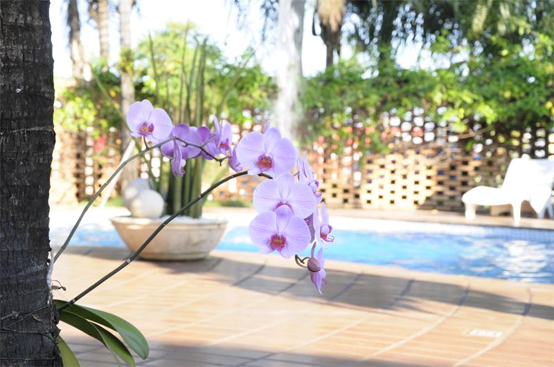 Vila Romana Park Hotel 2