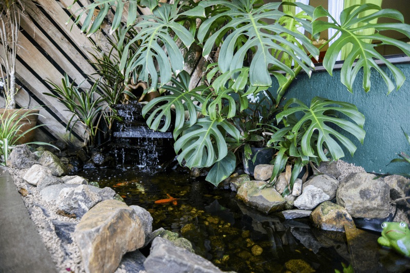 dsc_2811.jpg