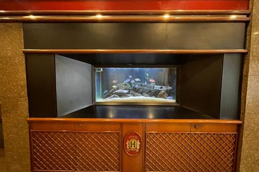 lobby 1.jpg