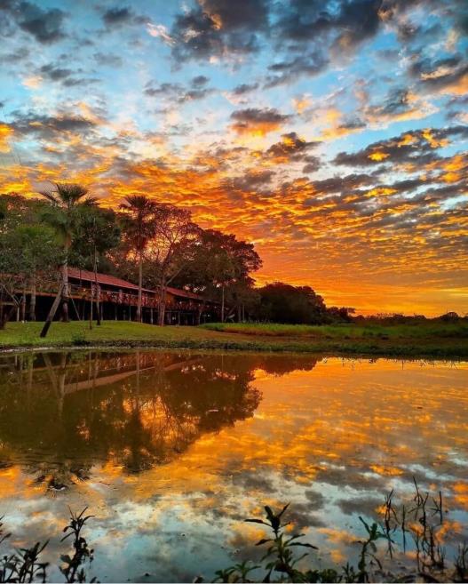 pordosol-jungle-visitmatogrossodosul.jpg