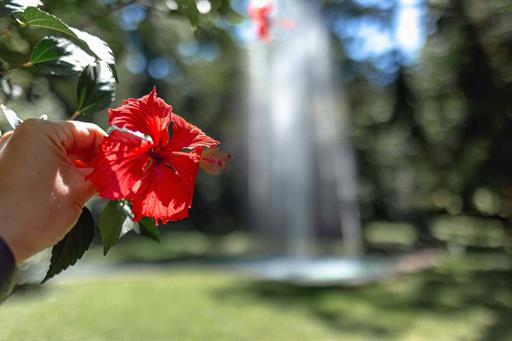 danusa rhoden fotografia-9199.jpg