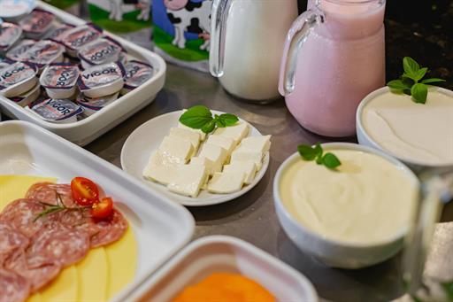 danusa rhoden fotografia-8988.jpg