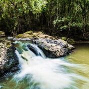 cachoeira.jpeg
