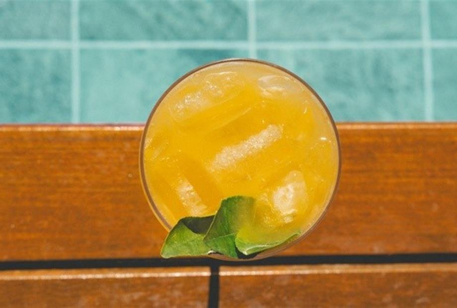 dsc01274 medium.jpeg