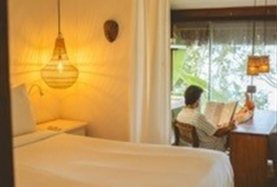 dsc00784low small.jpeg