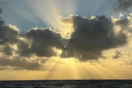 whatsapp image 2024-07-08 at 11.17.09.jpeg