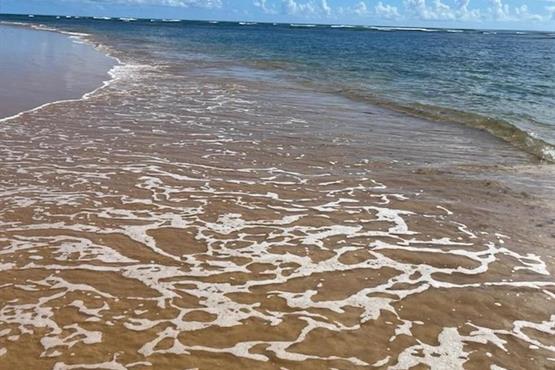 whatsapp image 2024-07-08 at 11.18.08.jpeg